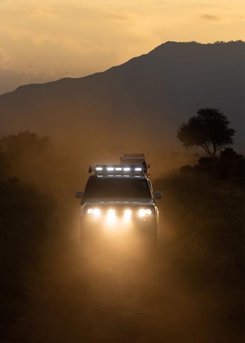 African Safari