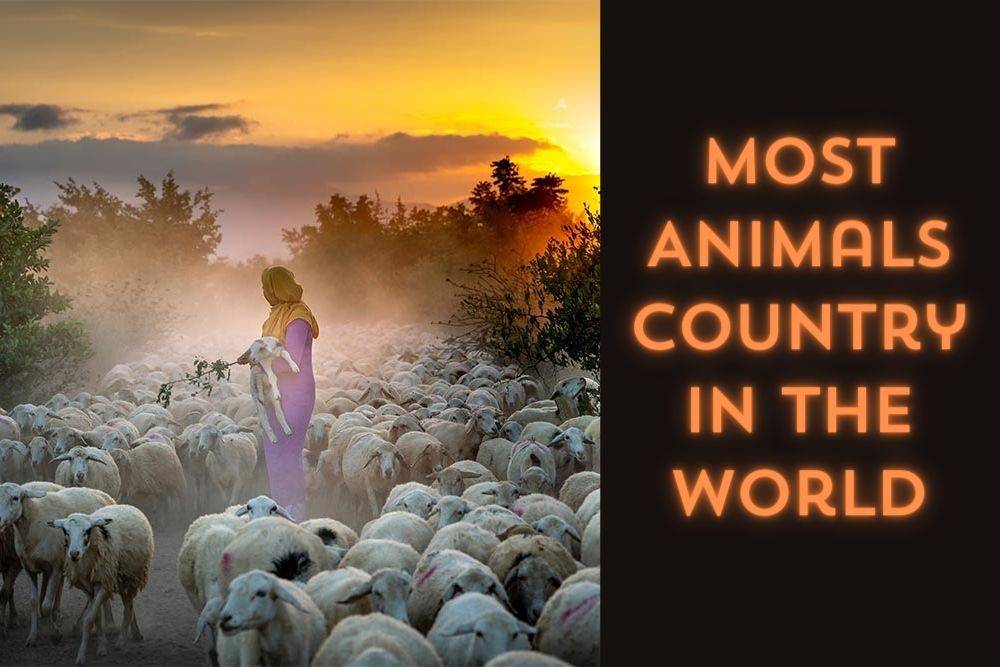 Most Animals Country in the World