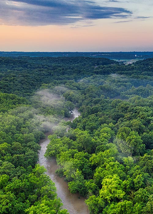 The Amazon Rainforest